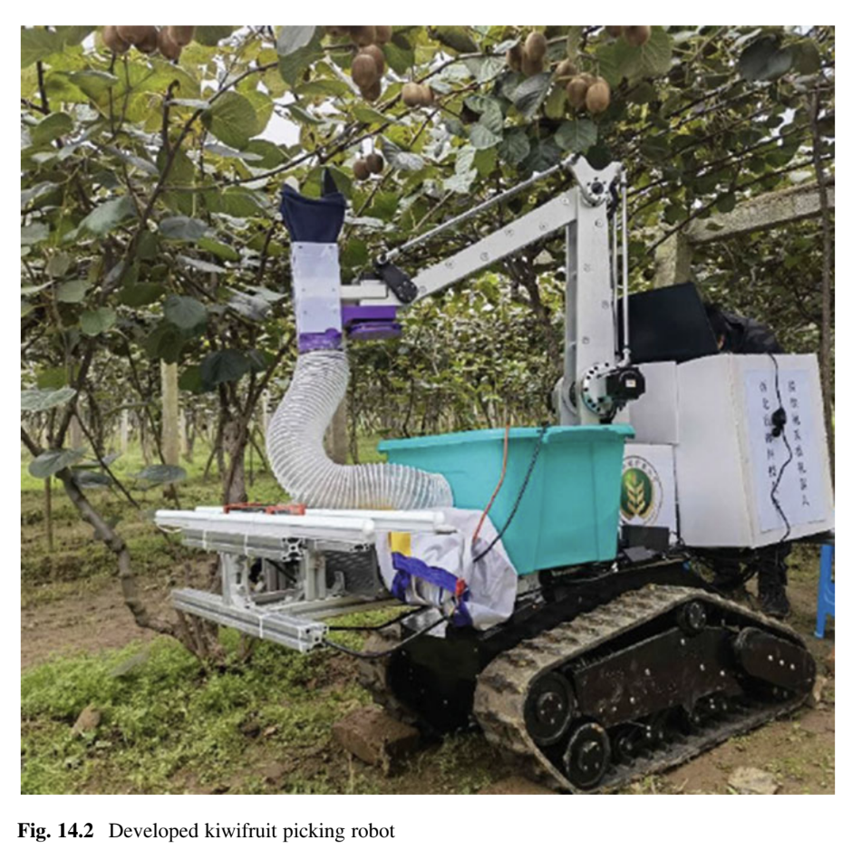 Intelligent Sensing and Robotic Picking of Kiwifruit in Orchard